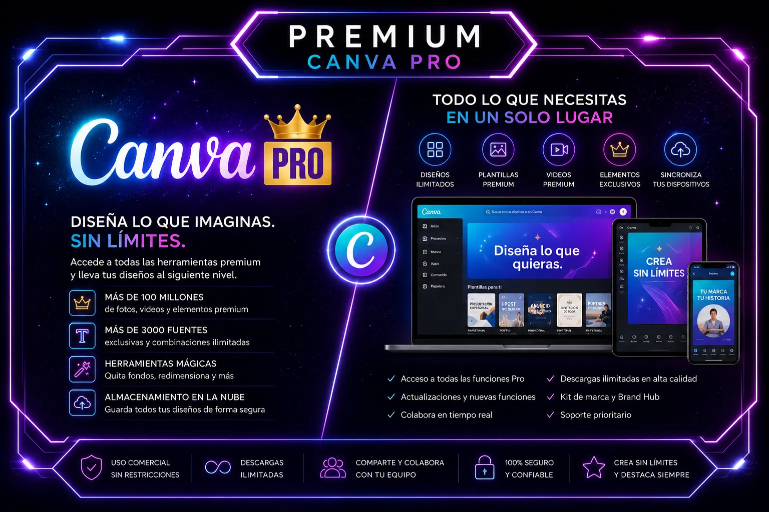 Canva Pro
