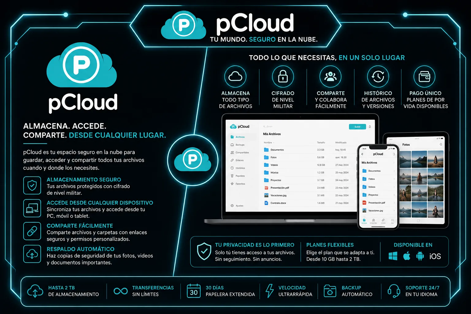 pcloud Nube 500.00GB